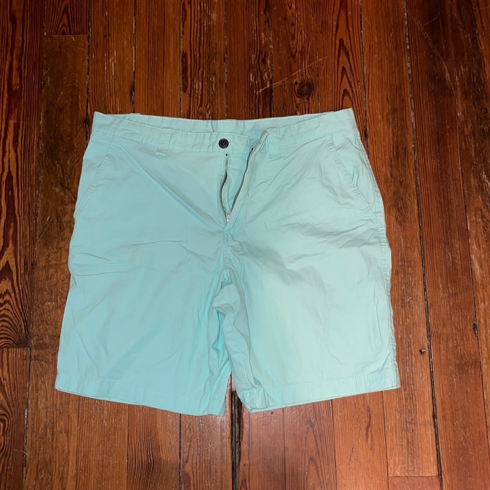 MAGELLAN MENS MINT GREEN/LIGHT BLUEISH COLORED SHORTS.